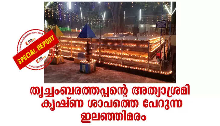 The Athyashram of Thrichambaratthappan; The Ilanji tree that bears the curse of Krishna