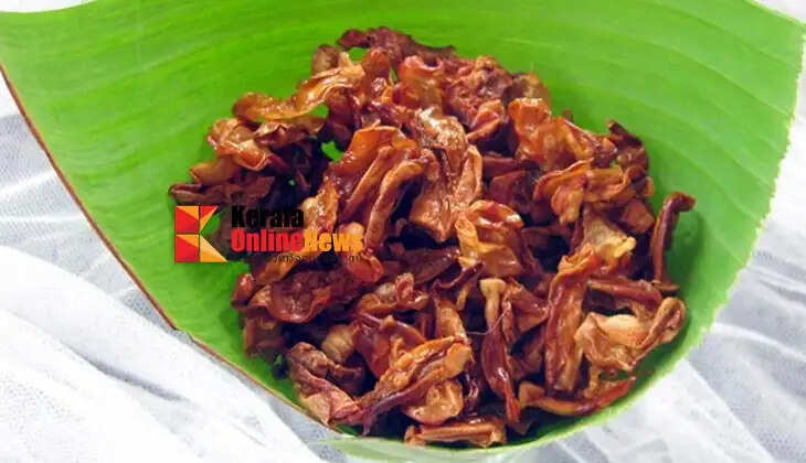jackfruit kondattam