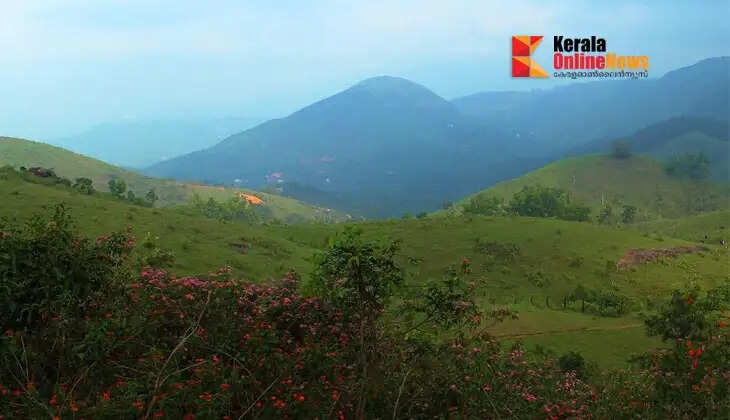 Do you want to enjoy the natural beauty of the highlands? Teekoy and Poonjar beckon travelers.