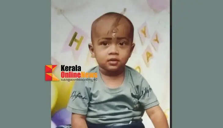 A one-and-a-half-year-old boy died in Thrissur after a cement block fell on him.