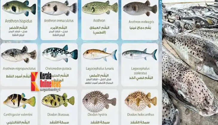 oman