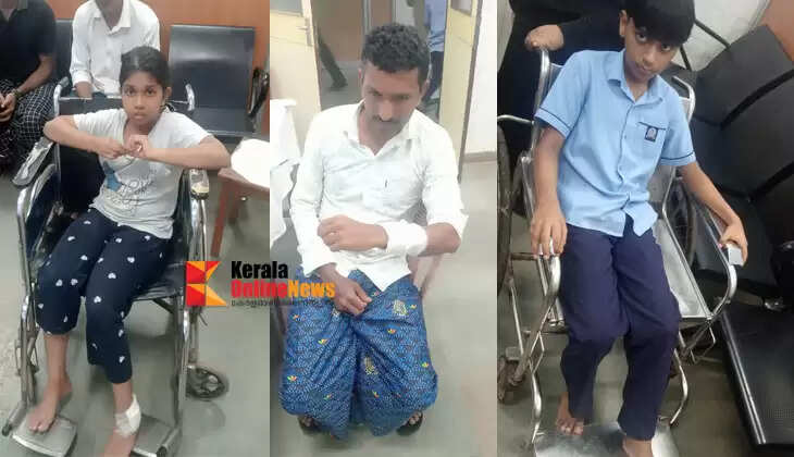 Stray dog attack in Kannur; Three people, including students, bitten