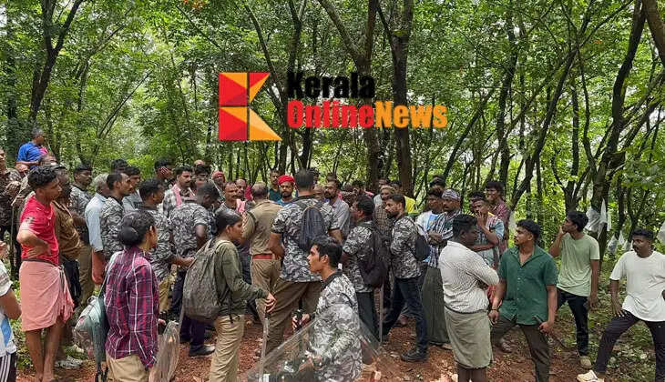 Kannur is in a state of panic due to the tiger..! The tiger could not be found after conducting an inspection.