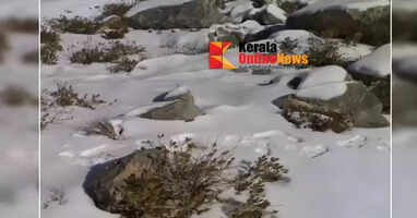 Oman shivers in cold; temperature drops below zero degrees