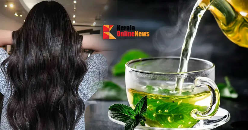 You can grow hair with green tea in just two weeks
