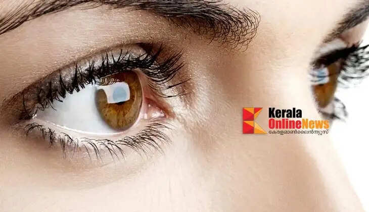 eye