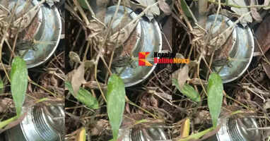Another bomb found in Kannur