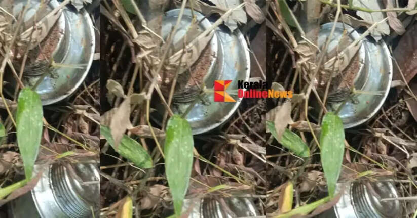 Another bomb found in Kannur