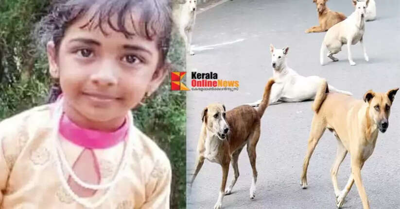 kozhikkode ziya faria death