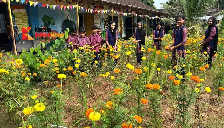 Students of Muzhappilangad South UP School set to add color to Onam; a floral carpet born of their hard work will bloom in their courtyard.
