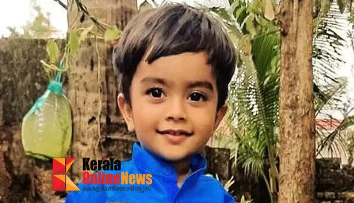 Two-year-old boy dies after falling into bathroom bucket