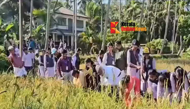 School children of Kannur reaped hundreds of thousands; When the minister came to harvest, he fell down