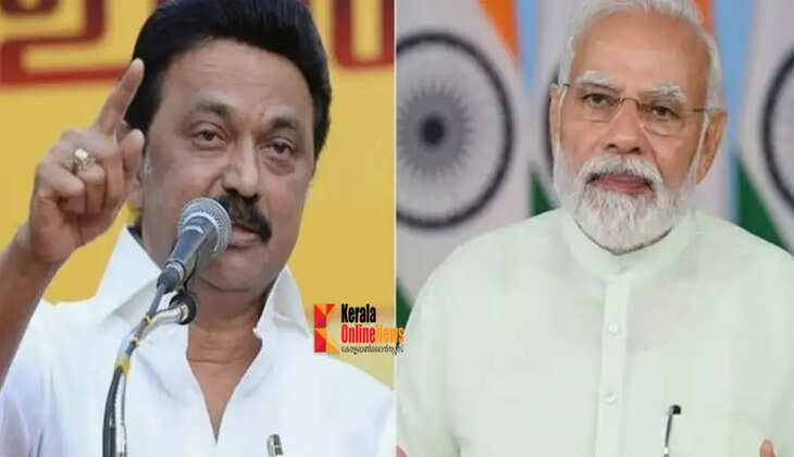 dmk