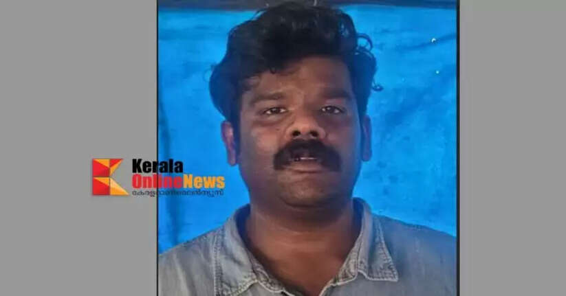 Young lawyer arrested while smuggling ganja in a car in Palakkad