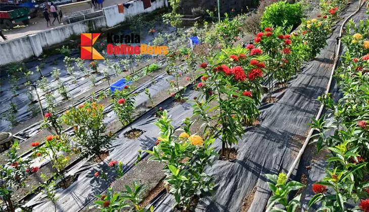 A rare glimpse of Sabari Nandanam in the presence of Lord Ayyappa immersed in floral beauty