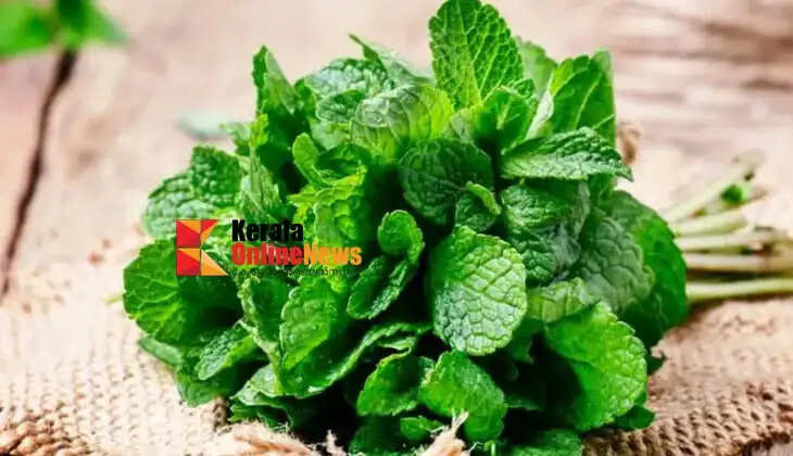 mintleaves