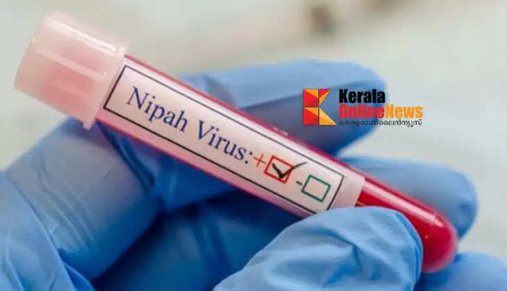 nipah virus positive