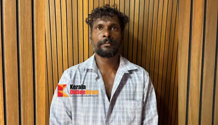Attempt to molest 13-year-old girl in Thiruvalla; man arrested