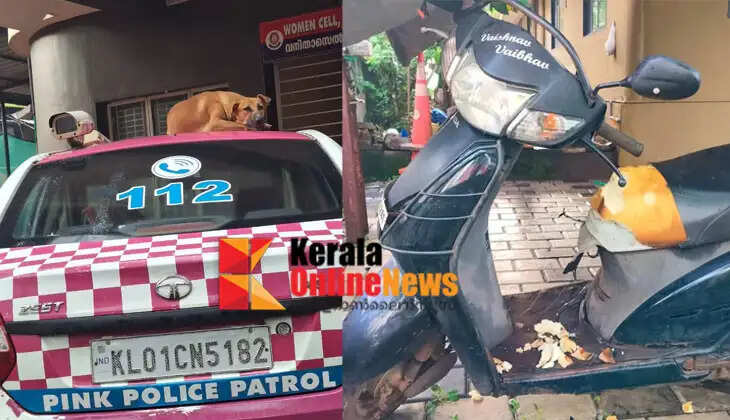 Stray dogs roam the entire compound where Taliparamba Police Station operates; A stray dog ​​bit and destroyed the seat of an officer's scooter