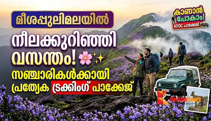 Head to Meesapulimala to see the Neelakurinji; do not travel without prior permission.
