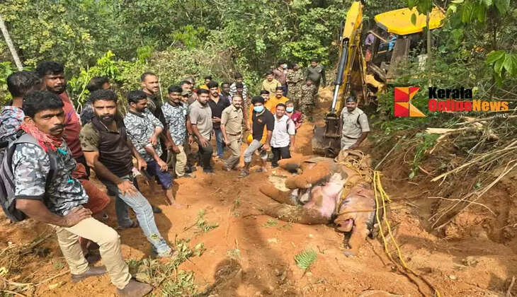 A wild elephant calf died after falling into a well in Thirunettikallu Kannur Initial findings suggest that the cause of death was a head injury