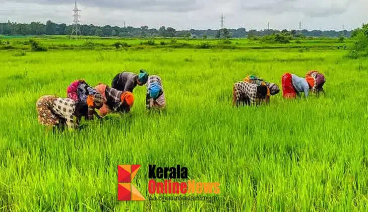 krishi