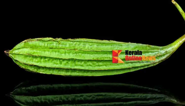 Thalolikka