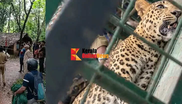 Melur puli dead 