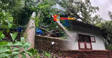 the cyclone the Peralassery village panchayat in Kannur suffered significant damage
