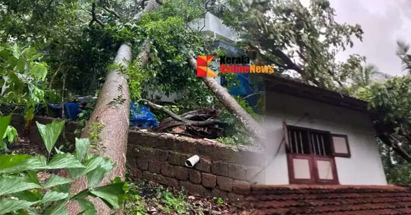 the cyclone the Peralassery village panchayat in Kannur suffered significant damage