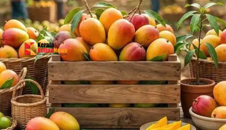Is there mango in your carry-on bag? You should know the airport-customs rules
