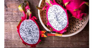 Dragon fruit