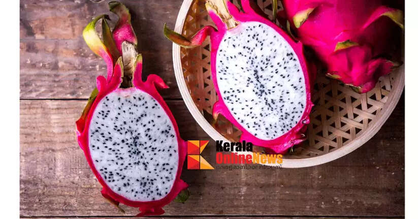 Dragon fruit