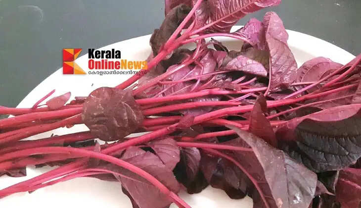 REDspinach