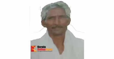 One more killed in wild elephant attack in Wayanad