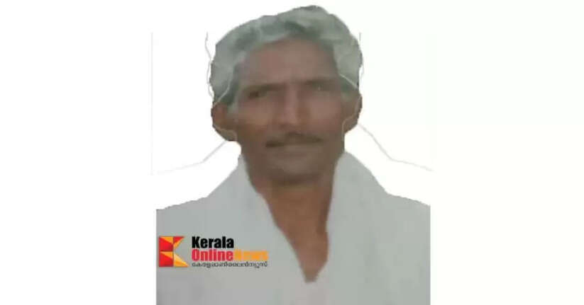 One more killed in wild elephant attack in Wayanad