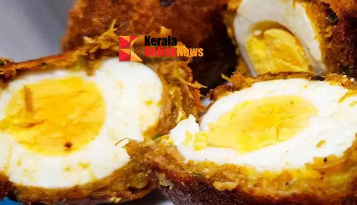 Special Egg Kebab