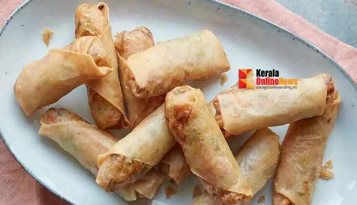 vegetable spring roll