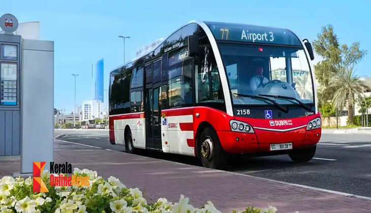 bus