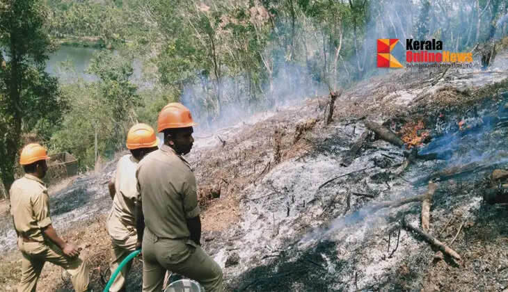 Massive fire breaks out at Taliparamba dump: Fire force extinguishes fire