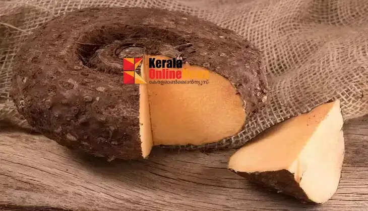 Do you know the benefits of eating Korean yam for the body?