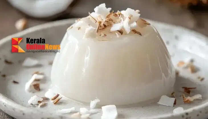 Tender Coconut Pudding