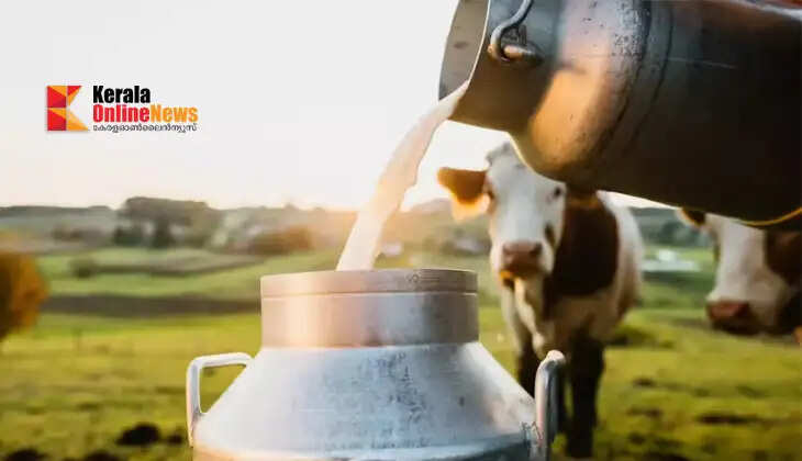 Is milk production decreasing? This could be the reason
