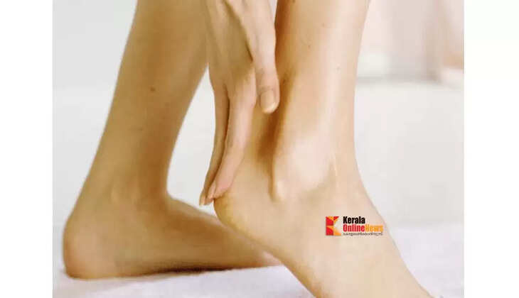 leg
