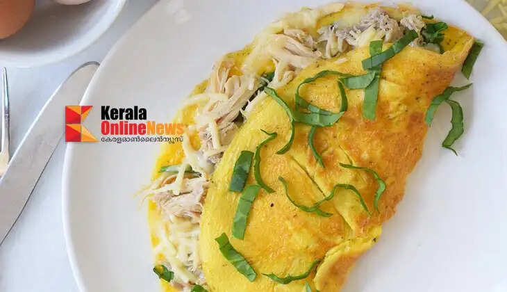 Chicken Omelette