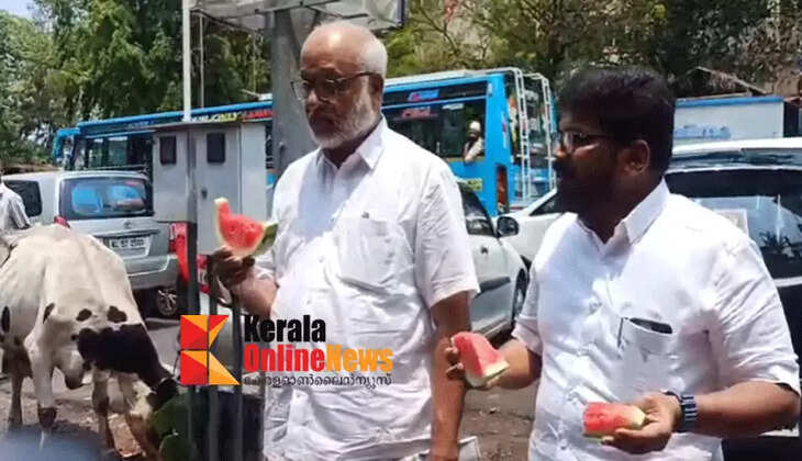 Baby also seeks the red color of watermelon during the election campaign to beat the heat in Kannur