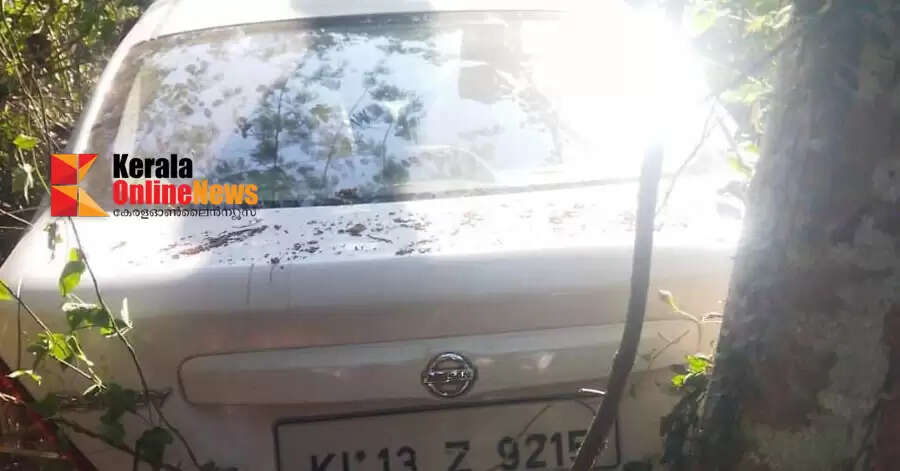 Car loses control in Mammakunnu, runs into field: Driver miraculously escapes