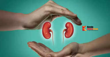 kidney