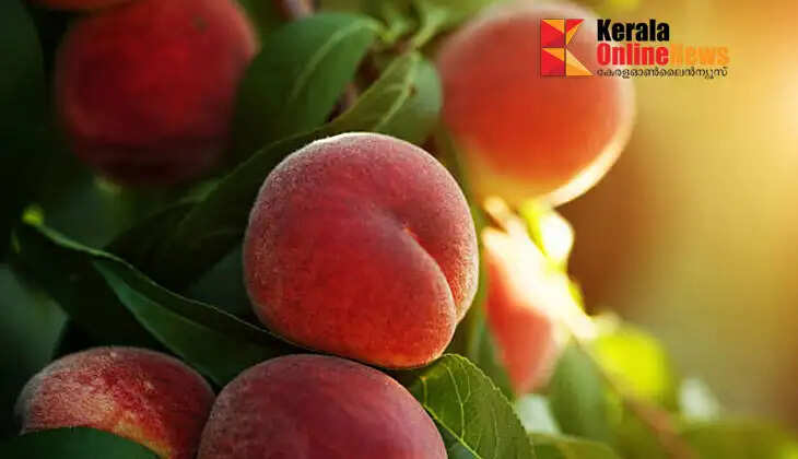 Peaches are super fruit