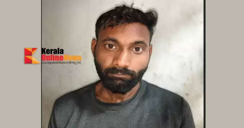 An incident in which an elderly woman living alone was entered into her home and attempted to rape her; the accused was arrested.